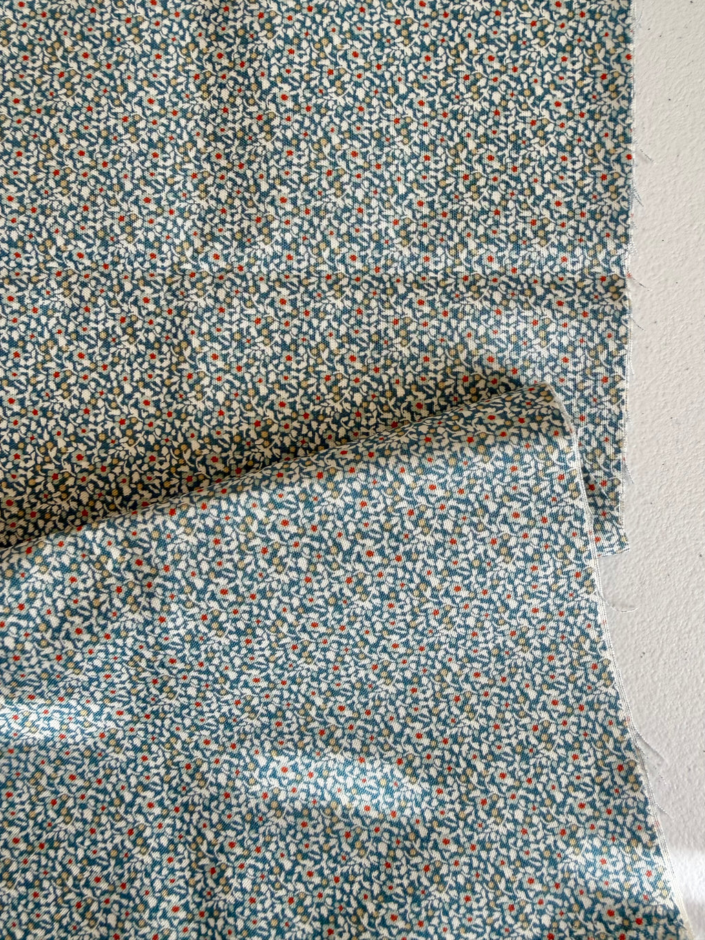 Brie Basics - Blue