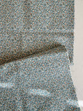 Brie Basics - Blue