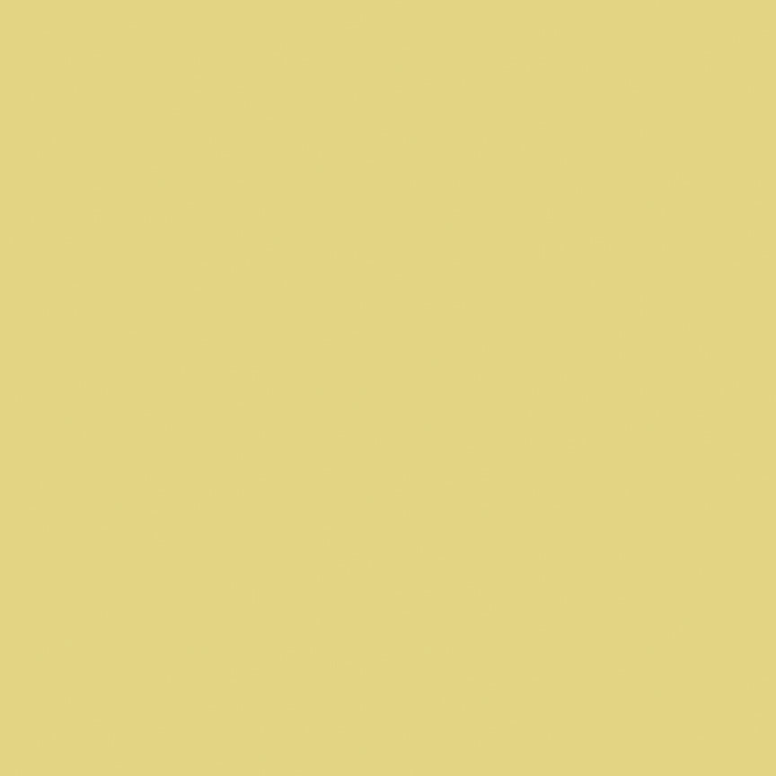 Confetti Cottons - Bean Sprout