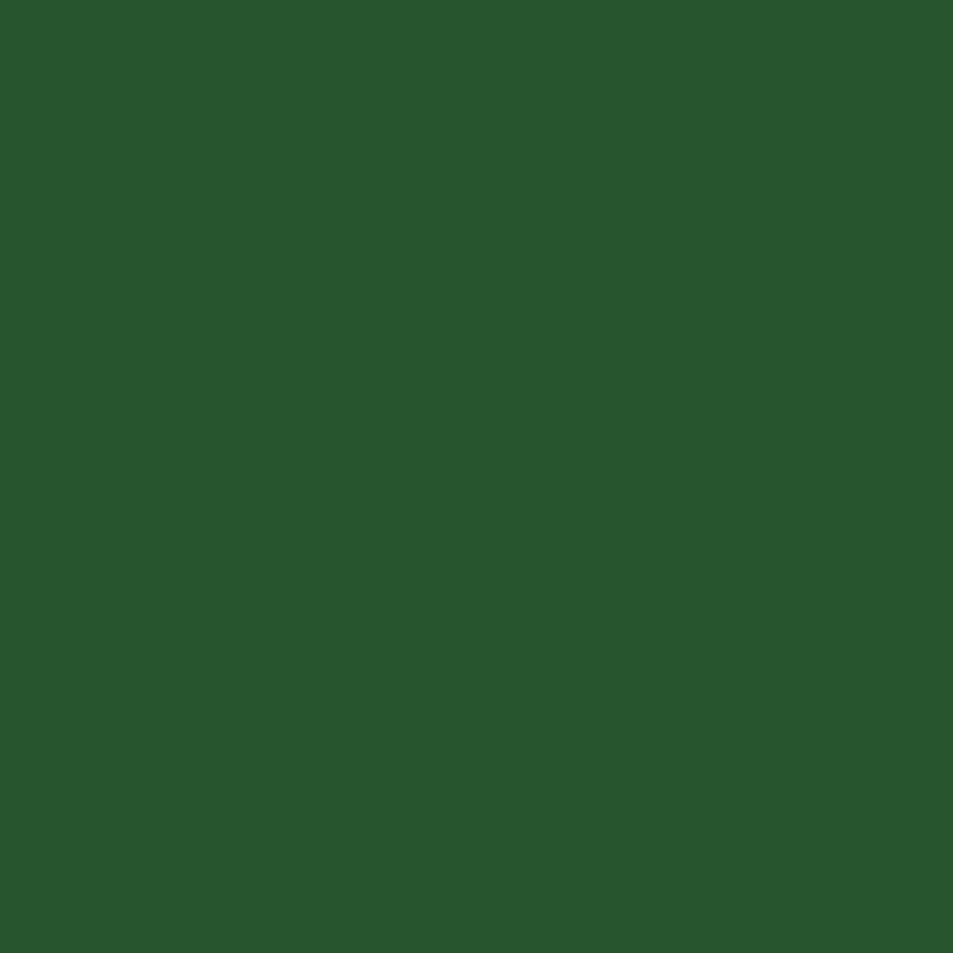 Confetti Cottons - Timberline