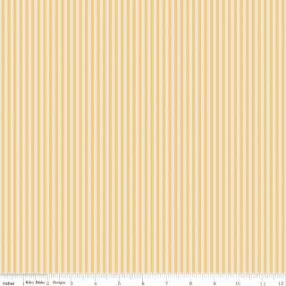 1/8" Stripe on Ivory Honey