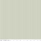 1/8" Stripe on Ivory Sage