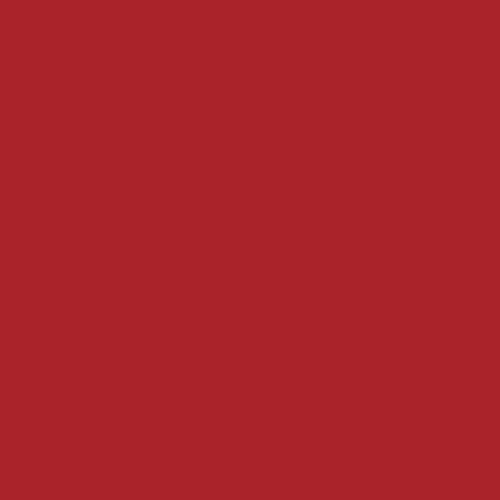 Flannel Solids - Ruby
