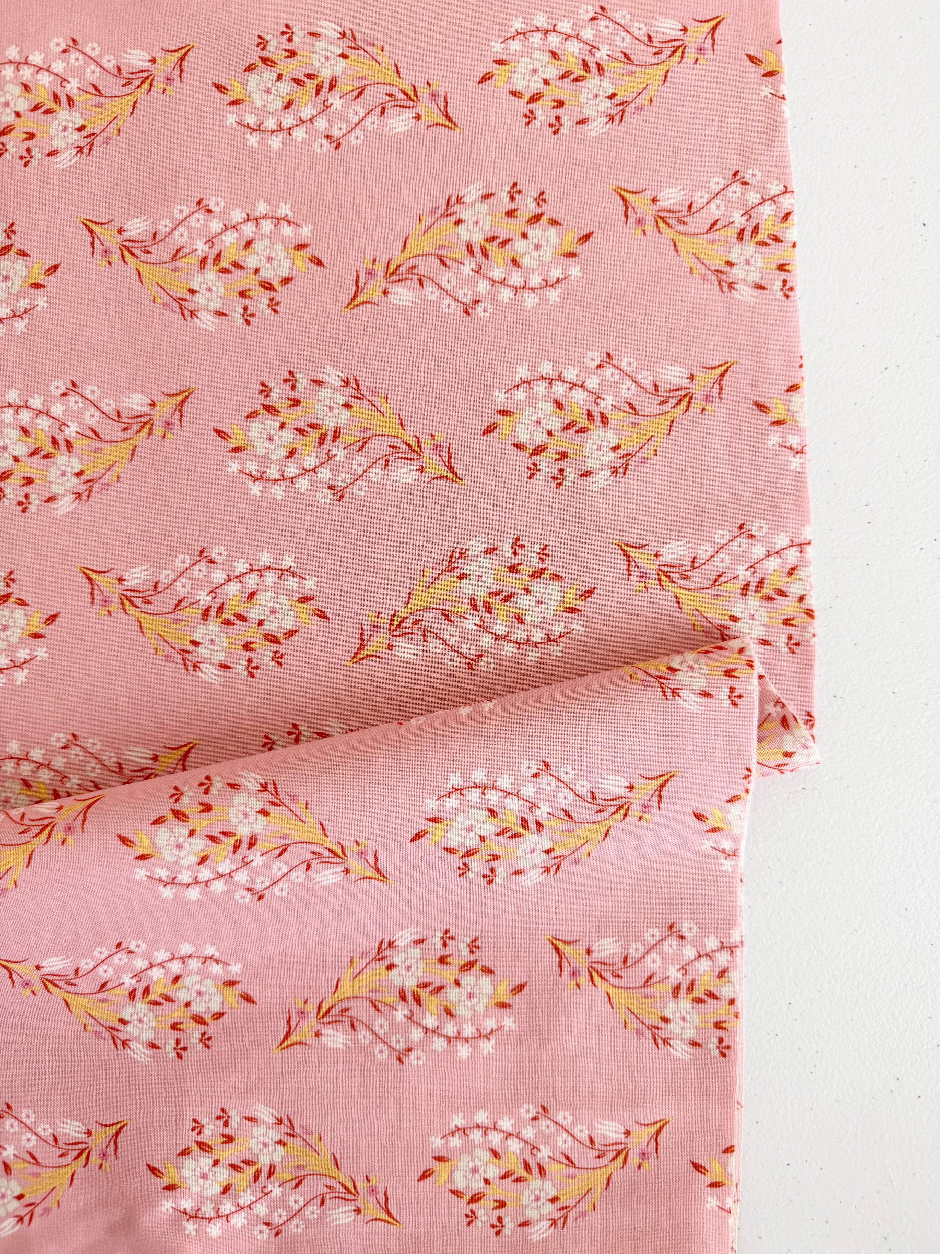 Peach Cobbler Daydream Pink
