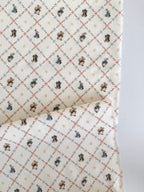 Peter Rabbit and Benjamin Bunny Lattice Cream