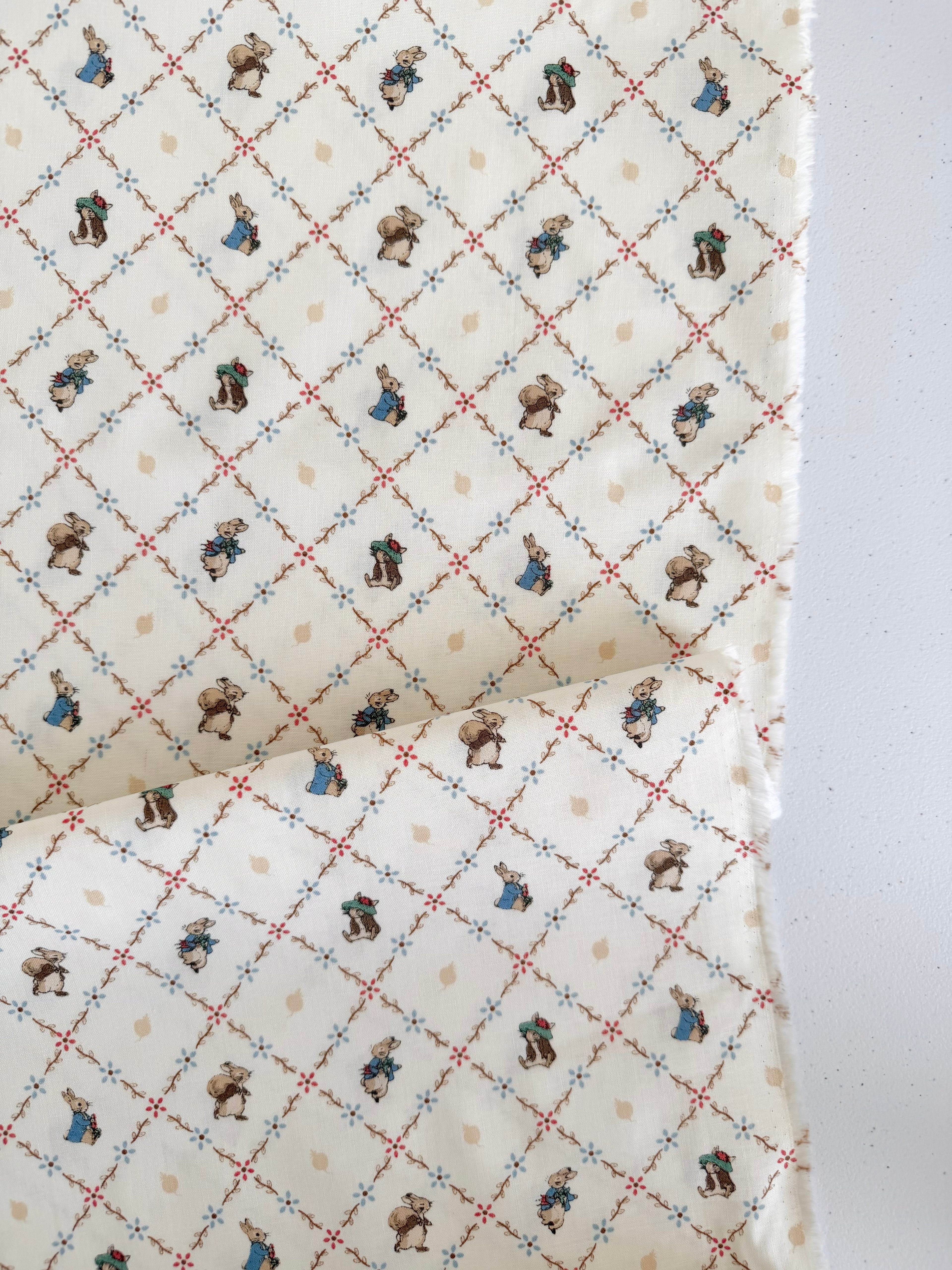 Peter Rabbit and Benjamin Bunny Lattice Cream