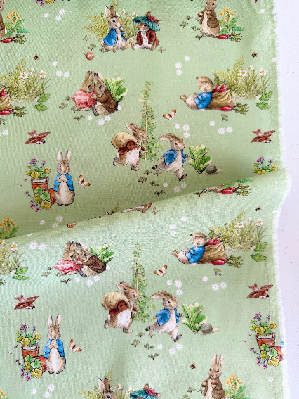 Peter Rabbit and Benjamin Bunny Main Green