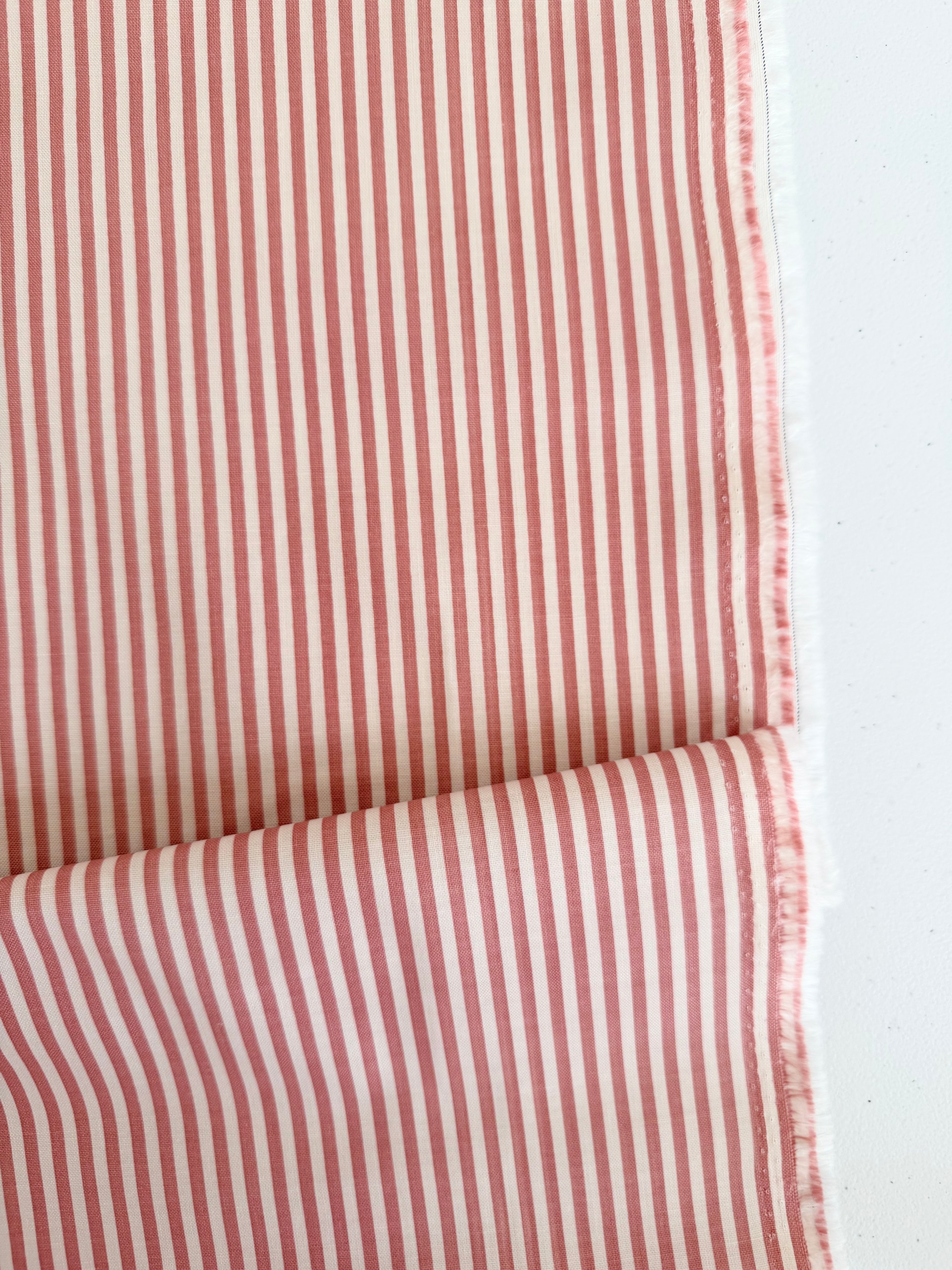 1/8" Stripe on Ivory Canyon Rose