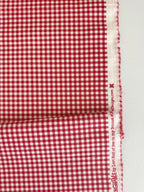 Bee Ginghams Tina Schoolhouse Red