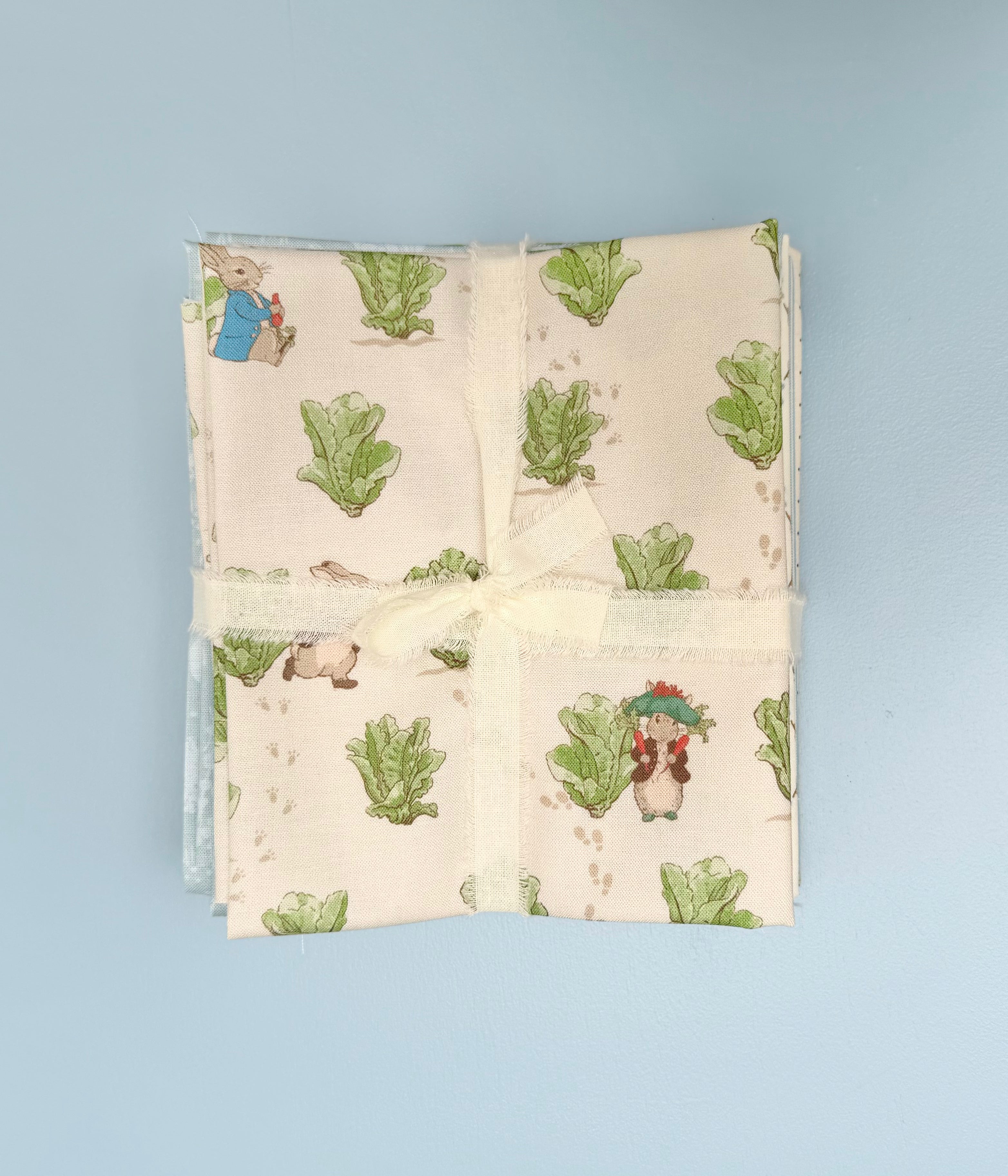 Peter Rabbit 8 pc FQ Bundle