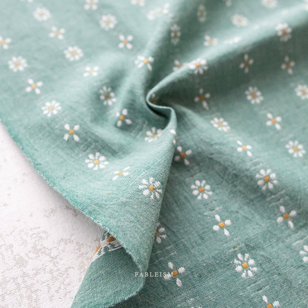 Forest Forage - Daisies in Spring